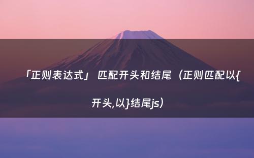 「正则表达式」 匹配开头和结尾（正则匹配以{开头,以}结尾js）