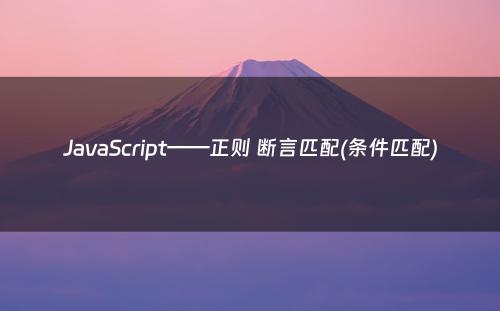 JavaScript——正则 断言匹配(条件匹配)