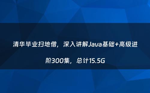 清华毕业扫地僧，深入讲解Java基础+高级进阶300集，总计15.5G