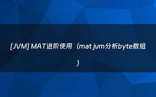 [JVM] MAT进阶使用（mat jvm分析byte数组）