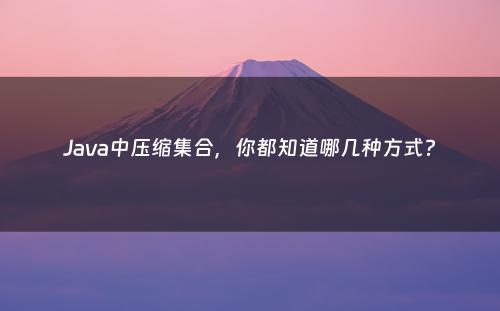 Java中压缩集合，你都知道哪几种方式?