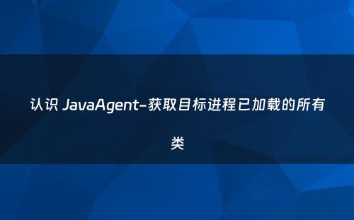 认识 JavaAgent-获取目标进程已加载的所有类