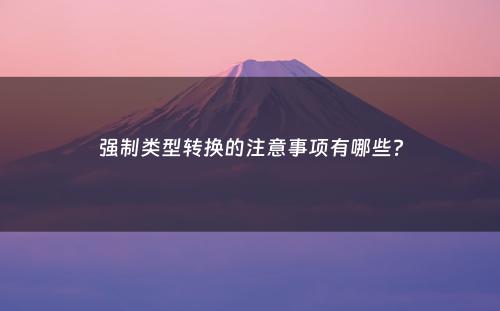 强制类型转换的注意事项有哪些?