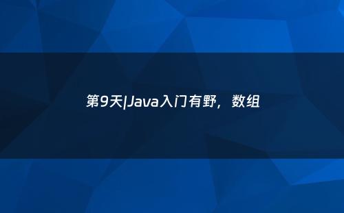 第9天|Java入门有野，数组