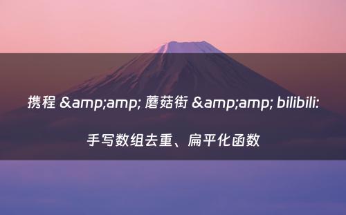 携程 &amp; 蘑菇街 &amp; bilibili:手写数组去重、扁平化函数