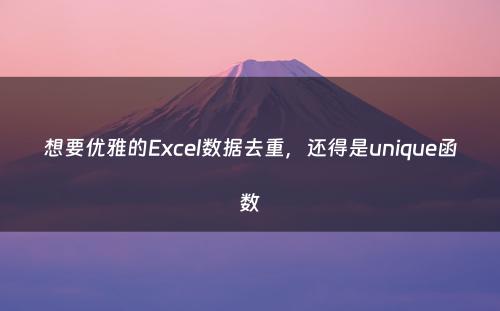 想要优雅的Excel数据去重，还得是unique函数