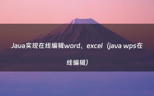 Java实现在线编辑word、excel（java wps在线编辑）