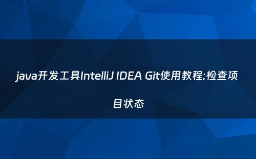 java开发工具IntelliJ IDEA Git使用教程:检查项目状态