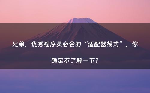 兄弟，优秀程序员必会的“适配器模式”，你确定不了解一下?