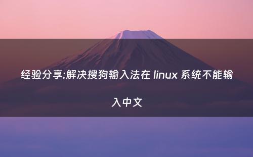 经验分享:解决搜狗输入法在 linux 系统不能输入中文