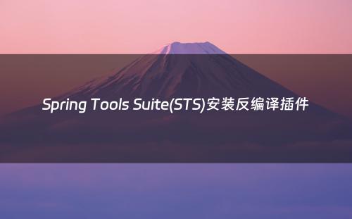 Spring Tools Suite(STS)安装反编译插件