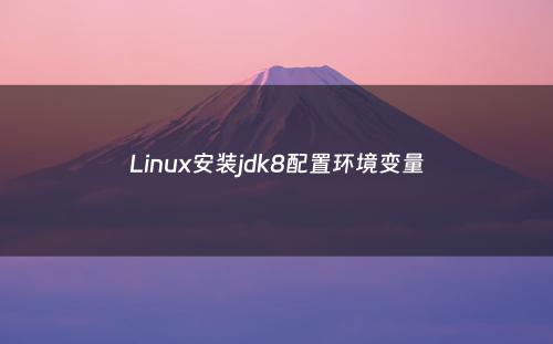 Linux安装jdk8配置环境变量
