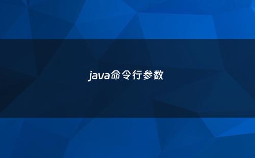 java命令行参数