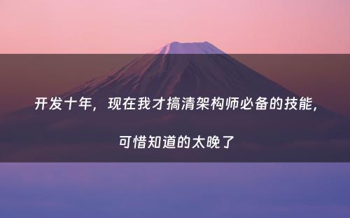 开发十年，现在我才搞清架构师必备的技能，可惜知道的太晚了