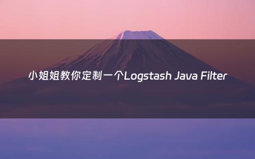 小姐姐教你定制一个Logstash Java Filter