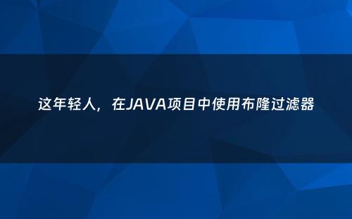 这年轻人，在JAVA项目中使用布隆过滤器