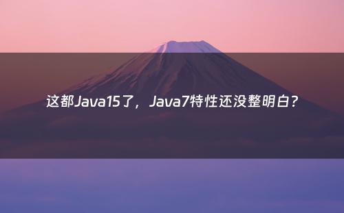 这都Java15了，Java7特性还没整明白?