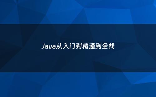 Java从入门到精通到全栈