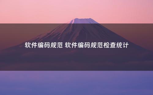 软件编码规范 软件编码规范检查统计