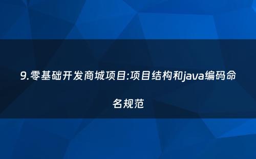 9.零基础开发商城项目:项目结构和java编码命名规范