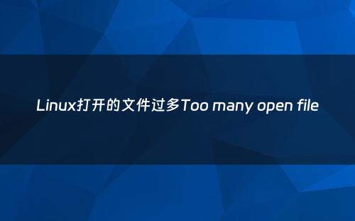 Linux打开的文件过多Too many open file
