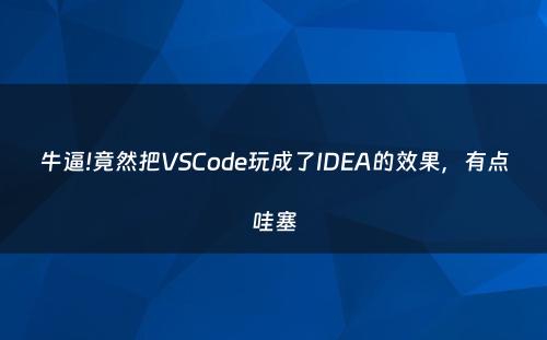 牛逼!竟然把VSCode玩成了IDEA的效果，有点哇塞