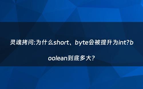 灵魂拷问:为什么short、byte会被提升为int?boolean到底多大?