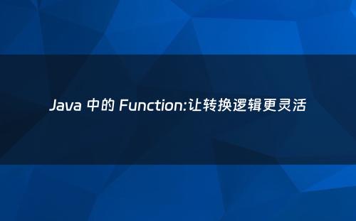 Java 中的 Function:让转换逻辑更灵活