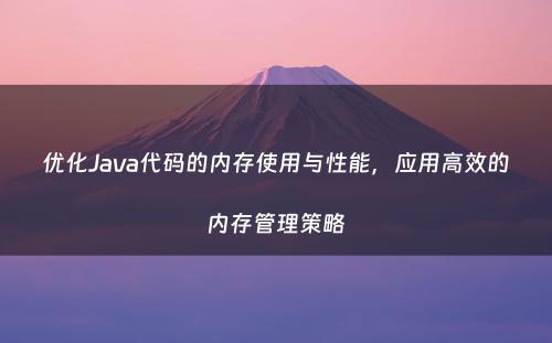 优化Java代码的内存使用与性能，应用高效的内存管理策略