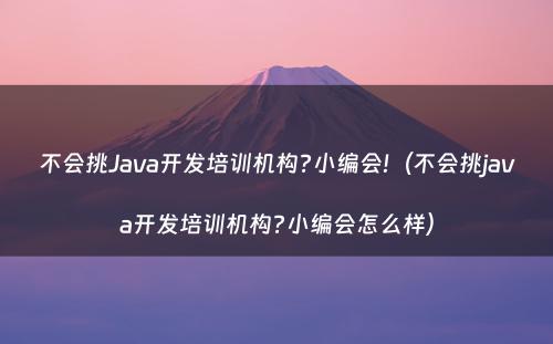 不会挑Java开发培训机构?小编会!（不会挑java开发培训机构?小编会怎么样）