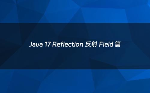 Java 17 Reflection 反射 Field 篇