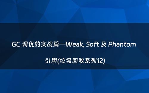 GC 调优的实战篇—Weak, Soft 及 Phantom 引用(垃圾回收系列12)