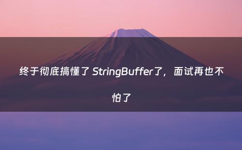 终于彻底搞懂了 StringBuffer了，面试再也不怕了