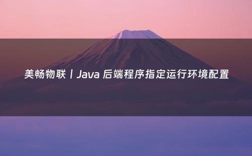 美畅物联丨Java 后端程序指定运行环境配置