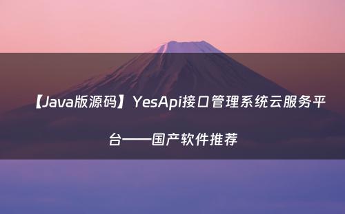 【Java版源码】YesApi接口管理系统云服务平台——国产软件推荐