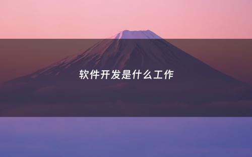 软件开发是什么工作