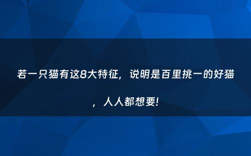 若一只猫有这8大特征，说明是百里挑一的好猫，人人都想要!