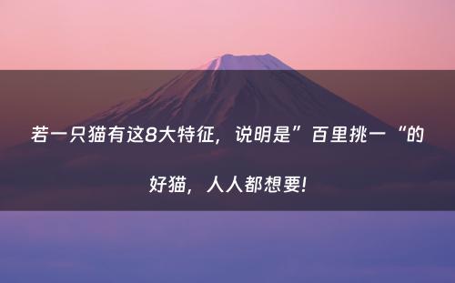 若一只猫有这8大特征，说明是”百里挑一“的好猫，人人都想要!