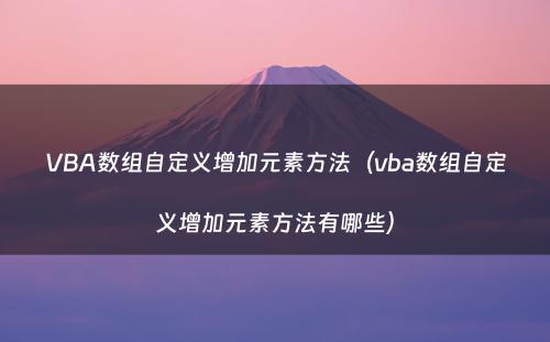 VBA数组自定义增加元素方法（vba数组自定义增加元素方法有哪些）