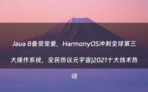 Java 8备受宠爱，HarmonyOS冲刺全球第三大操作系统，全民热议元宇宙|2021十大技术热词