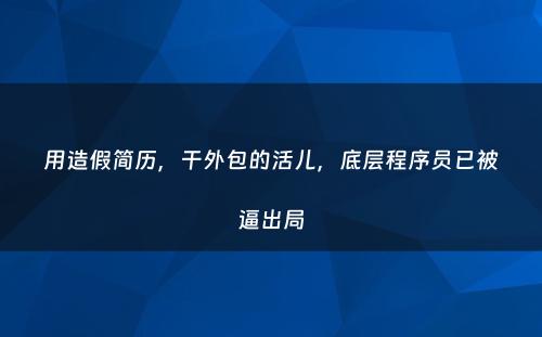 用造假简历，干外包的活儿，底层程序员已被逼出局