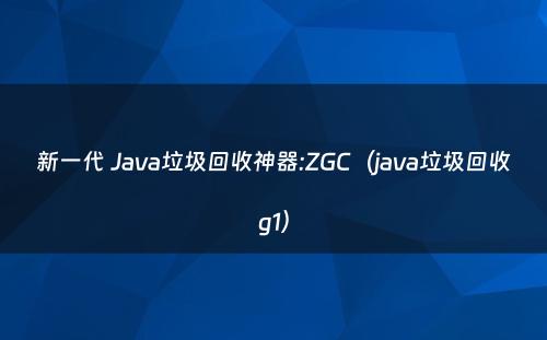 新一代 Java垃圾回收神器:ZGC（java垃圾回收g1）