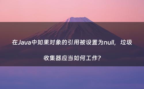 在Java中如果对象的引用被设置为null，垃圾收集器应当如何工作?