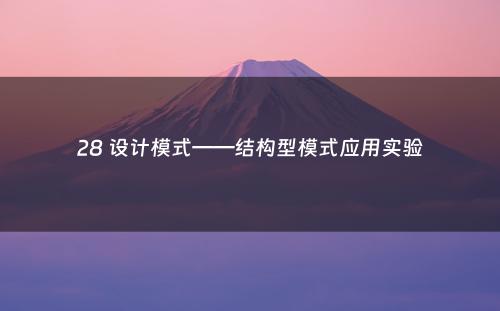 28 设计模式——结构型模式应用实验