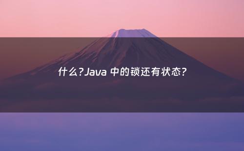什么?Java 中的锁还有状态?