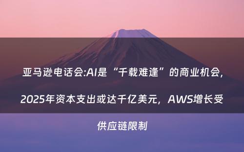 亚马逊电话会:AI是“千载难逢”的商业机会，2025年资本支出或达千亿美元，AWS增长受供应链限制