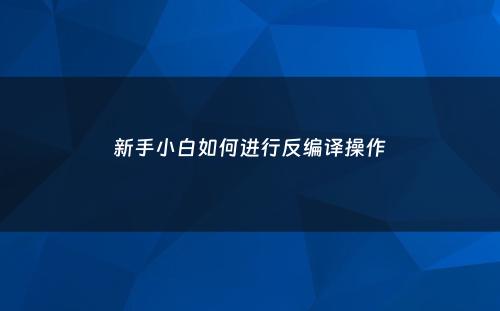 新手小白如何进行反编译操作