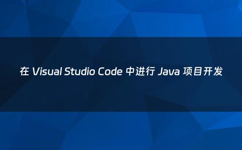 在 Visual Studio Code 中进行 Java 项目开发
