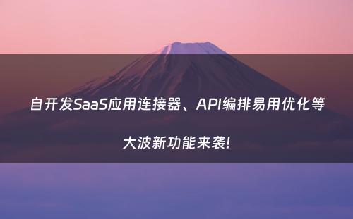 自开发SaaS应用连接器、API编排易用优化等大波新功能来袭!