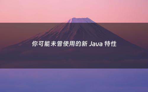 你可能未曾使用的新 Java 特性